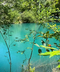 ��2024�μǡ���կ����һ���������۱���