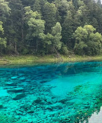 ��2024�μǡ���կ����һ���������۱���