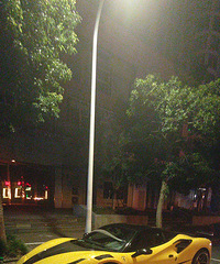 ��������ڽ�����������������̫Ư����