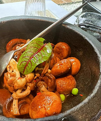 �������ʲô����������з����֭�跹���ó�