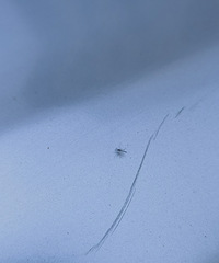 �����ʲô����Ⱥ��ӵ�