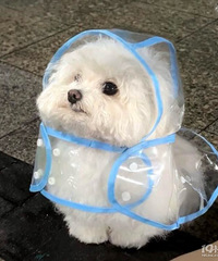 94�꽷�������Ҷ��󣬵���ƽ����ƣ�ϣ���Է�172+