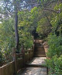 ���ǹ㳡�����Ƹ�·�϶���ʺ