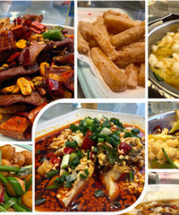 ������14�������տ���