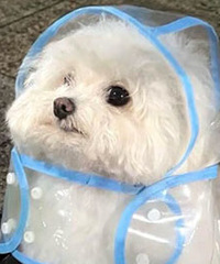 94�꽷�����ӵ���ƽ����ƣ�ϣ���Է�172+