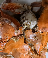 �������ʲô��������Ļ���۸񽵲������ˣ�Ҫ10Ԫһ��