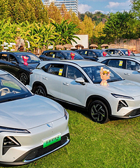 ��������û����Щִ����ȼ�ͳ����ˣ����������ǵ����ġ����ɡ�