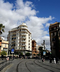 ��������ά����