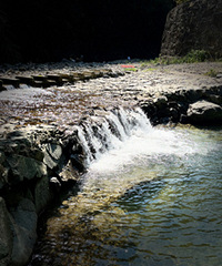 ������ˮץ��ı���ʤ��