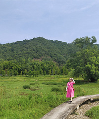 ̨�ݰ���̩��Ϫ��̶�����ɽ���ŵ�����֮��