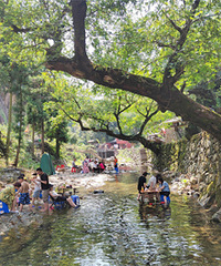 ��Դ�ҿӴ屾��20���˾�ס�����ס������