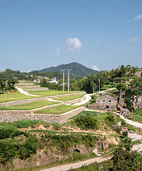 ӿȪ��ɽ�嶫Ժ��������û�е����Ƶľ�ɫ