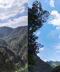 ��ɽ�ĺ􆾣��ҁ�����