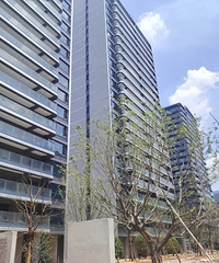 ��ЩС������������ˢ�£�һ����������