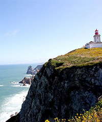 �������޿���