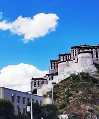 ѩ��֮��֮������������