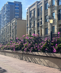 ��������·������÷���Ĳ���