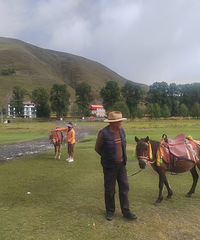 ��������֮����������֮�ã�������ʥ��׳��