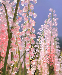 90��δ��Ů����ʦ���ƣ�Ѱ�Ը���Ͱ��������ܽ��Ķ���