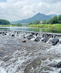 ����¹��̶��ˮͦ�峺�ģ��кö�С��