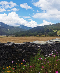 ���������ε������ɾ����ҵ�������