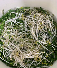 Ϊʲô�����˺ܶ඼��ȥ·�������˵Ĳ�