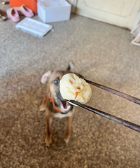 ����֪���ġ������⡱��ż���������һ�ٷ�