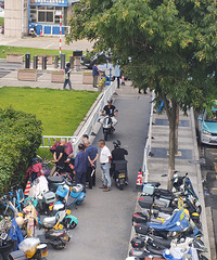 ����ҽԺ�ſ�����������ү������ֵ������