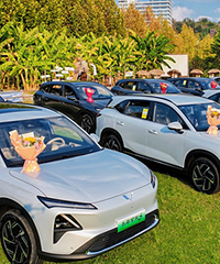 ��������û����Щִ����ȼ�ͳ����ˣ�