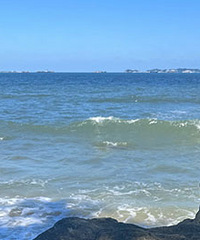 ��û��һ����ƽ��ѽ��Ŀǰ����������20��