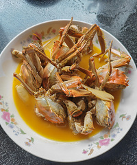 [�����ʲô]�ֵ��˳���з�ļ��ڣ���ƣ�����