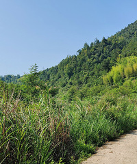 ������Ϫ��ȫ�����Ϫ���ɾӰ����̵��еľ�Ʒ