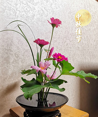 �������ʲô������ȥ�������⹫�Ը���