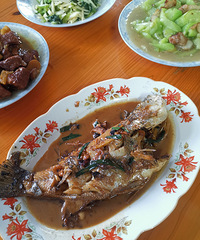 �������ʲô������ȥ�������⹫�Ը���