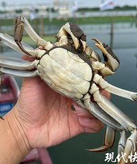 ���κ���բз��̨�紵���ˣ��ٷ���Ӧ