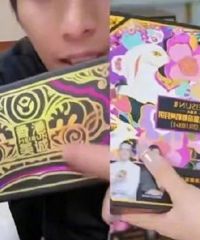 ��ֻ����������