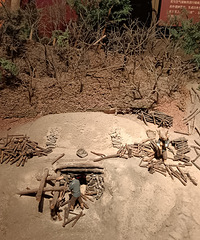 ���������˻�ͦ���