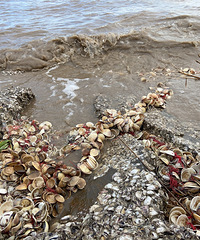 ����������鿥������һ������ʯ�������˳������µ�ĵ��