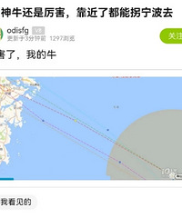 ̨���ֹ����ˣ�̨�����ѵ�٩��ţ��˵������ѧУ��ͣ�κ����...