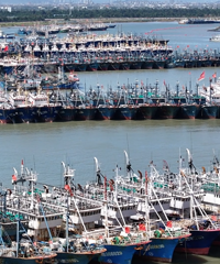 ���ڣ�̨��3200�����洬�ڸ۱ܷ�