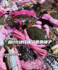 60��Ǯ�з20��Ǯ������ܲ��ŷ���