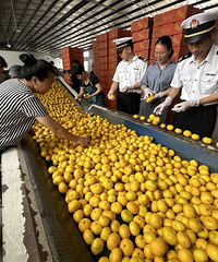 ̨������������11Ԫ/�