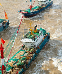 �㽭����ȫ�濪�棡����������