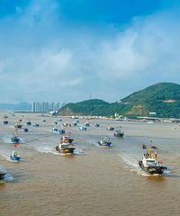 �㽭����ȫ�濪�棡����������