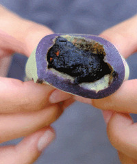 �ٷ������������̨�ݸ������Ρ���ʳ�س԰�����