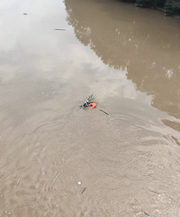 �������ӱ�ͻ�ǵĺ�ˮ��ס��ˮ�ϻ����˳�����5������ɾ�Ԯ