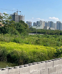 ������Ԥ�棨9.23-30��2�ڰ��÷���1���ɾ��³ǵ���լ��