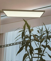 �𱬵ġ���·�ơ����滤�ۻ�������˰