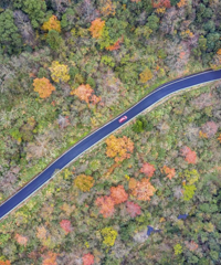 �㽭������̨��2����ѡ��