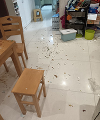 ������Ǽ��ɹ���